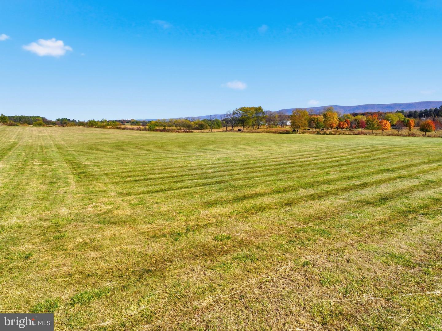 0 BAUSERMAN RD, MOUNT JACKSON, Virginia 22842, ,Land,For sale,0 BAUSERMAN RD,VASH2012894 MLS # VASH2012894 0 BAUSERMAN RD, MOUNT JACKSON, Virginia 22842, ,Land,For sale,0 BAUSERMAN RD,VASH2012894 MLS # VASH2012894