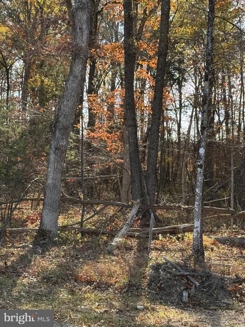 00 BAINES CORNER ROAD, BEALETON, Virginia 22712, ,Land,For sale,00 BAINES CORNER ROAD,VAFQ2019538 MLS # VAFQ2019538