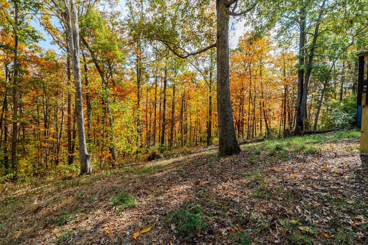 115 RISK RD, NEW MARKET, Virginia 22844, 2 Bedrooms Bedrooms, ,1 BathroomBathrooms,Residential,115 RISK RD,670579 MLS # 670579