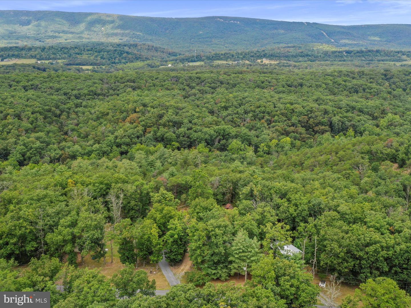 3782 WARDENSVILLE GRADE, WINCHESTER, Virginia 22602, 5 Bedrooms Bedrooms, ,4 BathroomsBathrooms,Residential,For sale,3782 WARDENSVILLE GRADE,VAFV2036412 MLS # VAFV2036412 3782 WARDENSVILLE GRADE, WINCHESTER, Virginia 22602, 5 Bedrooms Bedrooms, ,4 BathroomsBathrooms,Residential,For sale,3782 WARDENSVILLE GRADE,VAFV2036412 MLS # VAFV2036412