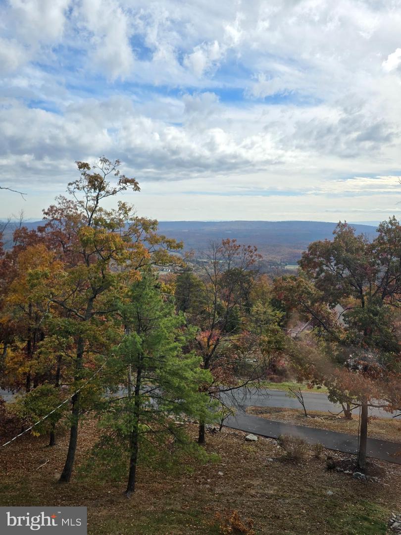 1133 TOMAHAWK TRL TRL, WINCHESTER, Virginia 22602, 3 Bedrooms Bedrooms, 9 Rooms Rooms,2 BathroomsBathrooms,Residential,For sale,1133 TOMAHAWK TRL TRL,VAFV2036660 MLS # VAFV2036660 1133 TOMAHAWK TRL TRL, WINCHESTER, Virginia 22602, 3 Bedrooms Bedrooms, 9 Rooms Rooms,2 BathroomsBathrooms,Residential,For sale,1133 TOMAHAWK TRL TRL,VAFV2036660 MLS # VAFV2036660