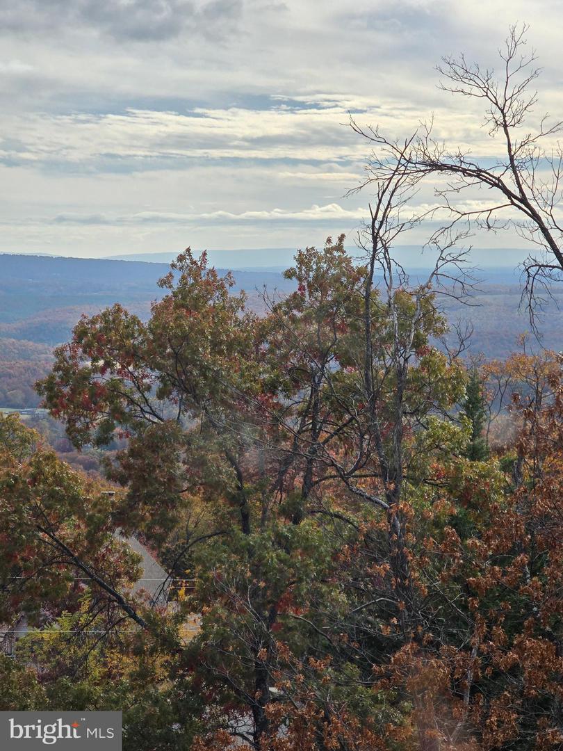 1133 TOMAHAWK TRL TRL, WINCHESTER, Virginia 22602, 3 Bedrooms Bedrooms, 9 Rooms Rooms,2 BathroomsBathrooms,Residential,For sale,1133 TOMAHAWK TRL TRL,VAFV2036660 MLS # VAFV2036660 1133 TOMAHAWK TRL TRL, WINCHESTER, Virginia 22602, 3 Bedrooms Bedrooms, 9 Rooms Rooms,2 BathroomsBathrooms,Residential,For sale,1133 TOMAHAWK TRL TRL,VAFV2036660 MLS # VAFV2036660