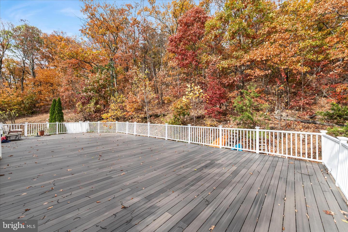 1133 TOMAHAWK TRL TRL, WINCHESTER, Virginia 22602, 3 Bedrooms Bedrooms, 9 Rooms Rooms,2 BathroomsBathrooms,Residential,For sale,1133 TOMAHAWK TRL TRL,VAFV2036660 MLS # VAFV2036660 1133 TOMAHAWK TRL TRL, WINCHESTER, Virginia 22602, 3 Bedrooms Bedrooms, 9 Rooms Rooms,2 BathroomsBathrooms,Residential,For sale,1133 TOMAHAWK TRL TRL,VAFV2036660 MLS # VAFV2036660