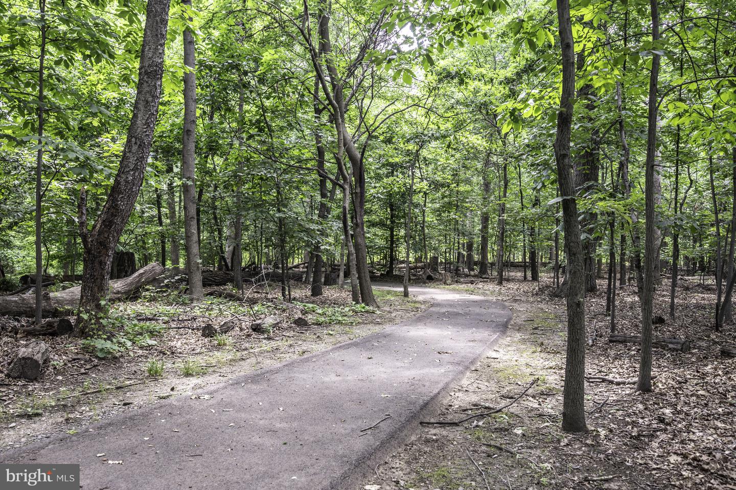 9909 LAKEPOINTE DR, BURKE, Virginia 22015, 3 Bedrooms Bedrooms, ,2 BathroomsBathrooms,Residential,For sale,9909 LAKEPOINTE DR,VAFX2273178 MLS # VAFX2273178 9909 LAKEPOINTE DR, BURKE, Virginia 22015, 3 Bedrooms Bedrooms, ,2 BathroomsBathrooms,Residential,For sale,9909 LAKEPOINTE DR,VAFX2273178 MLS # VAFX2273178