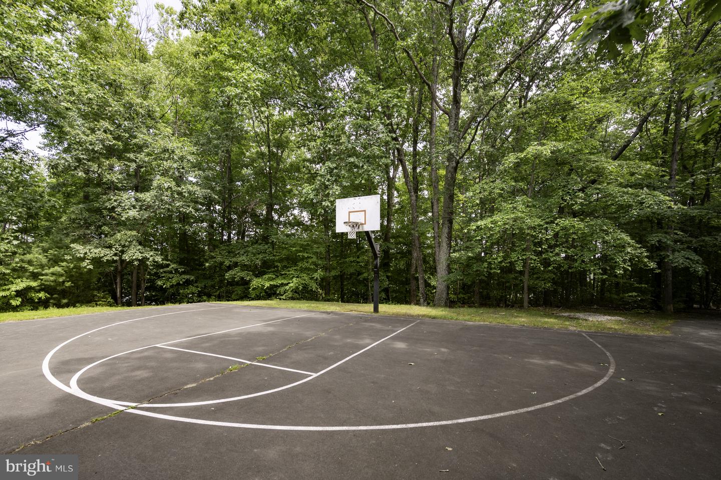 9909 LAKEPOINTE DR, BURKE, Virginia 22015, 3 Bedrooms Bedrooms, ,2 BathroomsBathrooms,Residential,For sale,9909 LAKEPOINTE DR,VAFX2273178 MLS # VAFX2273178 9909 LAKEPOINTE DR, BURKE, Virginia 22015, 3 Bedrooms Bedrooms, ,2 BathroomsBathrooms,Residential,For sale,9909 LAKEPOINTE DR,VAFX2273178 MLS # VAFX2273178