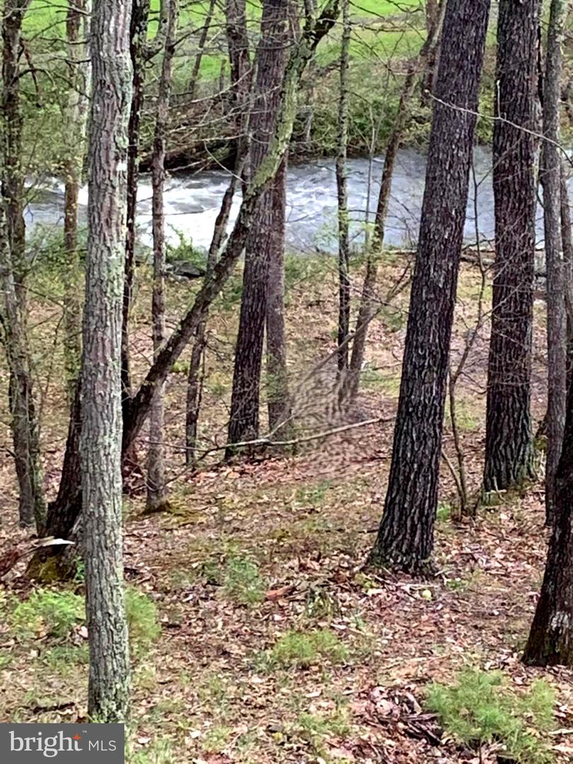 BASYE, Virginia 22810, 4 Bedrooms Bedrooms, ,3 BathroomsBathrooms,Residential,For sale,VASH2012738 MLS # VASH2012738