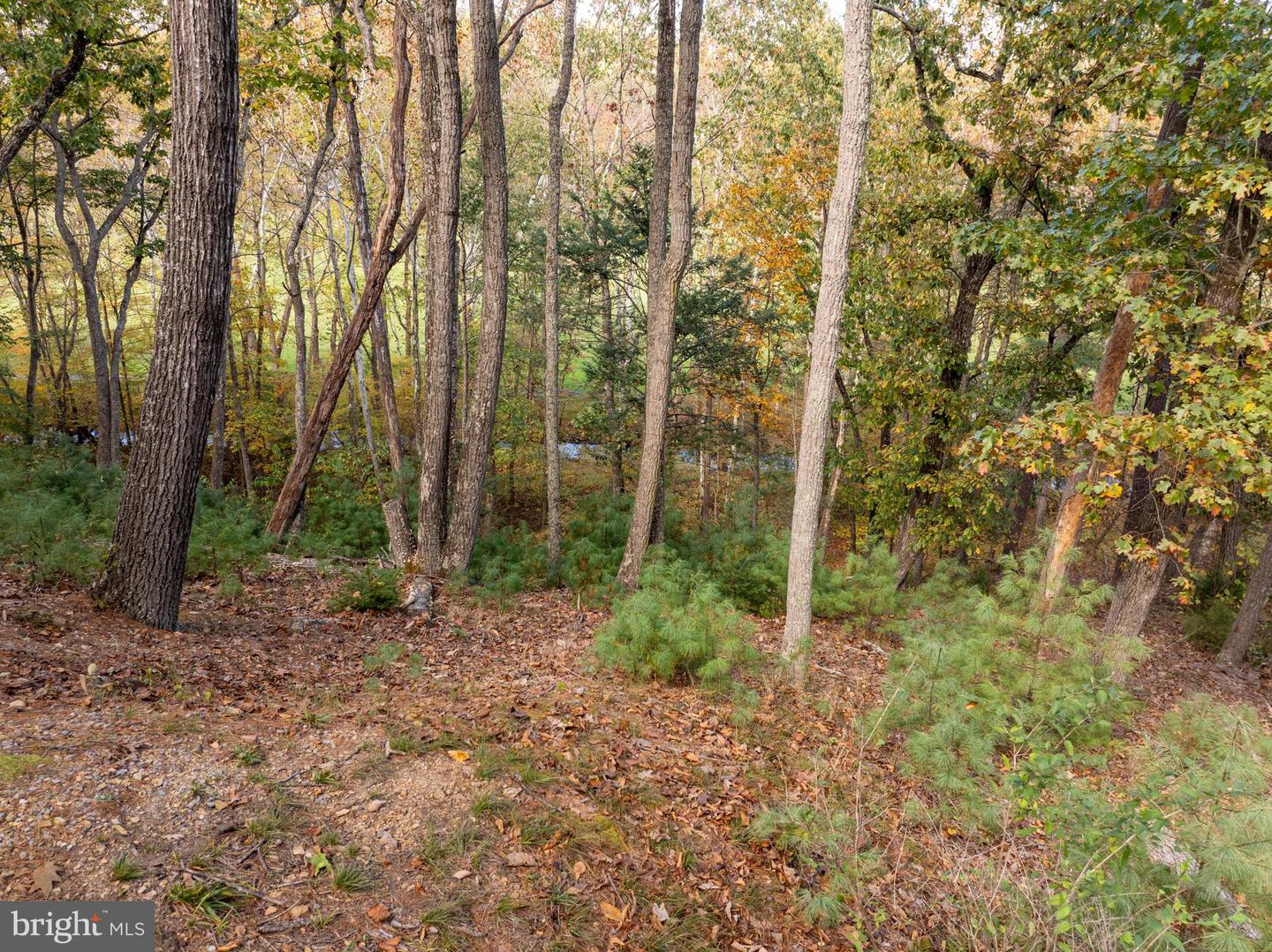 BASYE, Virginia 22810, 4 Bedrooms Bedrooms, ,3 BathroomsBathrooms,Residential,For sale,VASH2012738 MLS # VASH2012738