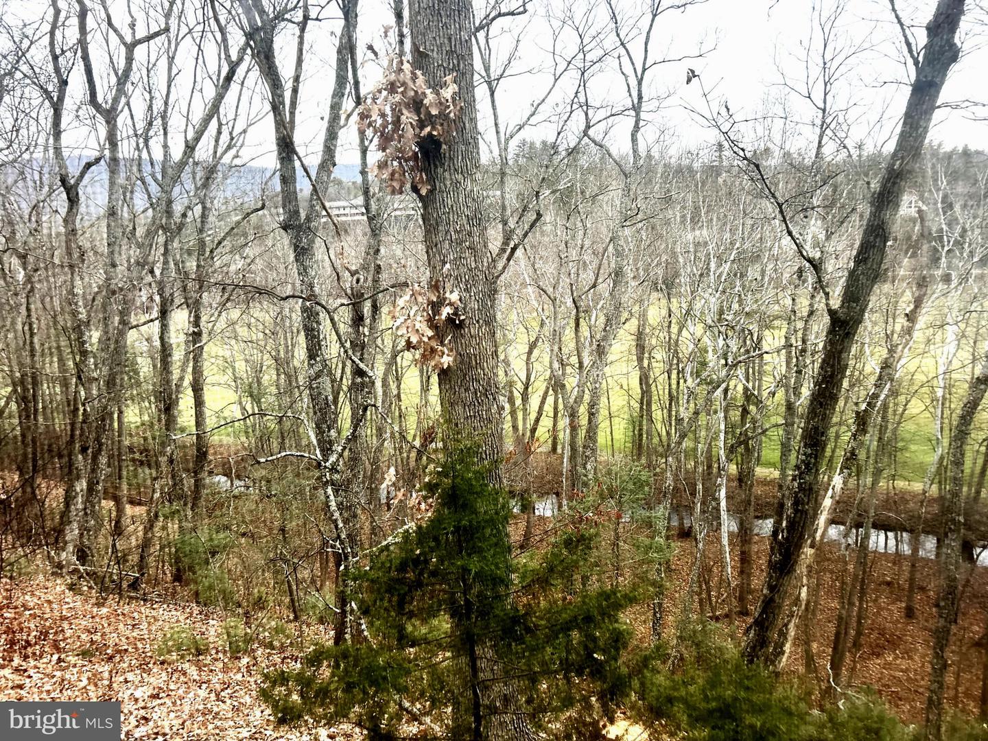 BASYE, Virginia 22810, 4 Bedrooms Bedrooms, ,3 BathroomsBathrooms,Residential,For sale,VASH2012738 MLS # VASH2012738