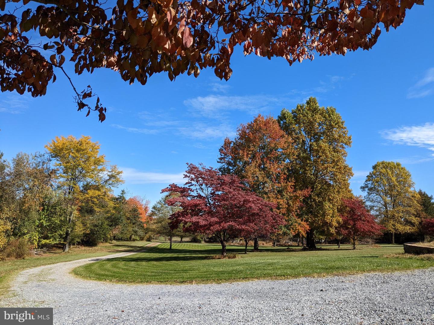 11929 FOLLY LN, LOVETTSVILLE, Virginia 20180, 4 Bedrooms Bedrooms, 14 Rooms Rooms,2 BathroomsBathrooms,Residential,For sale,11929 FOLLY LN,VALO2108946 MLS # VALO2108946