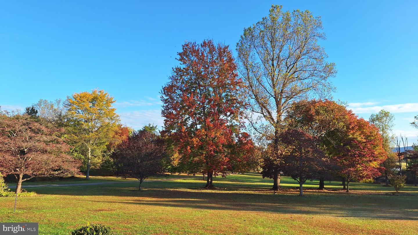 11929 FOLLY LN, LOVETTSVILLE, Virginia 20180, 4 Bedrooms Bedrooms, 14 Rooms Rooms,2 BathroomsBathrooms,Residential,For sale,11929 FOLLY LN,VALO2108946 MLS # VALO2108946