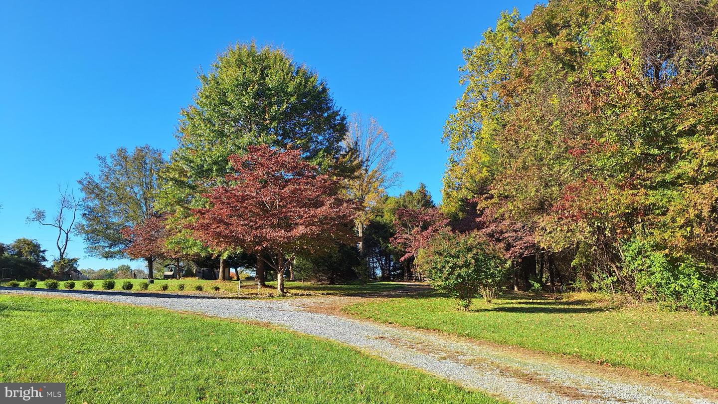 11929 FOLLY LN, LOVETTSVILLE, Virginia 20180, 4 Bedrooms Bedrooms, 14 Rooms Rooms,2 BathroomsBathrooms,Residential,For sale,11929 FOLLY LN,VALO2108946 MLS # VALO2108946