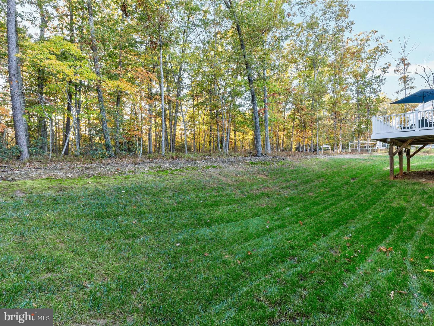 8524 LAROQUE RUN DR, FREDERICKSBURG, Virginia 22407, 6 Bedrooms Bedrooms, ,5 BathroomsBathrooms,Residential,For sale,8524 LAROQUE RUN DR,VASP2037056 MLS # VASP2037056 8524 LAROQUE RUN DR, FREDERICKSBURG, Virginia 22407, 6 Bedrooms Bedrooms, ,5 BathroomsBathrooms,Residential,For sale,8524 LAROQUE RUN DR,VASP2037056 MLS # VASP2037056