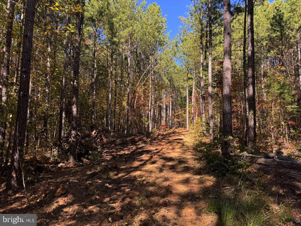 0 MEHERRIN RD, MEHERRIN, Virginia 23954, ,Land,For sale,0 MEHERRIN RD,VAPE2000112 MLS # VAPE2000112 0 MEHERRIN RD, MEHERRIN, Virginia 23954, ,Land,For sale,0 MEHERRIN RD,VAPE2000112 MLS # VAPE2000112