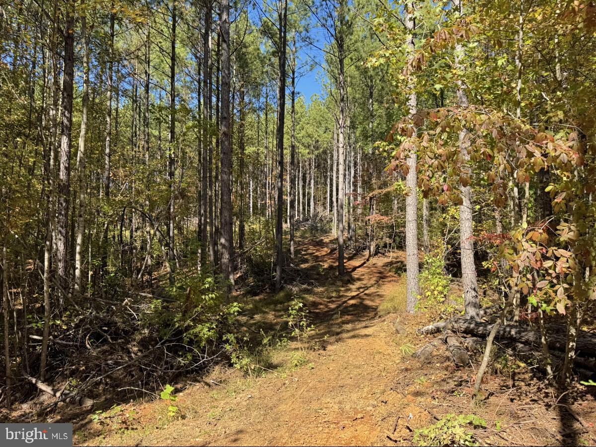 0 MEHERRIN RD, MEHERRIN, Virginia 23954, ,Land,For sale,0 MEHERRIN RD,VAPE2000112 MLS # VAPE2000112 0 MEHERRIN RD, MEHERRIN, Virginia 23954, ,Land,For sale,0 MEHERRIN RD,VAPE2000112 MLS # VAPE2000112