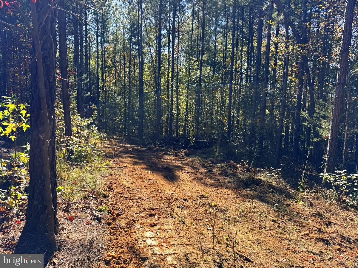 0 MEHERRIN RD, MEHERRIN, Virginia 23954, ,Land,For sale,0 MEHERRIN RD,VAPE2000112 MLS # VAPE2000112 0 MEHERRIN RD, MEHERRIN, Virginia 23954, ,Land,For sale,0 MEHERRIN RD,VAPE2000112 MLS # VAPE2000112