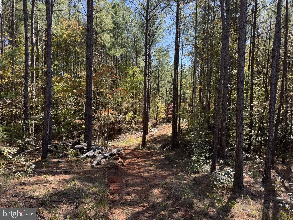 0 MEHERRIN RD, MEHERRIN, Virginia 23954, ,Land,For sale,0 MEHERRIN RD,VAPE2000112 MLS # VAPE2000112 0 MEHERRIN RD, MEHERRIN, Virginia 23954, ,Land,For sale,0 MEHERRIN RD,VAPE2000112 MLS # VAPE2000112