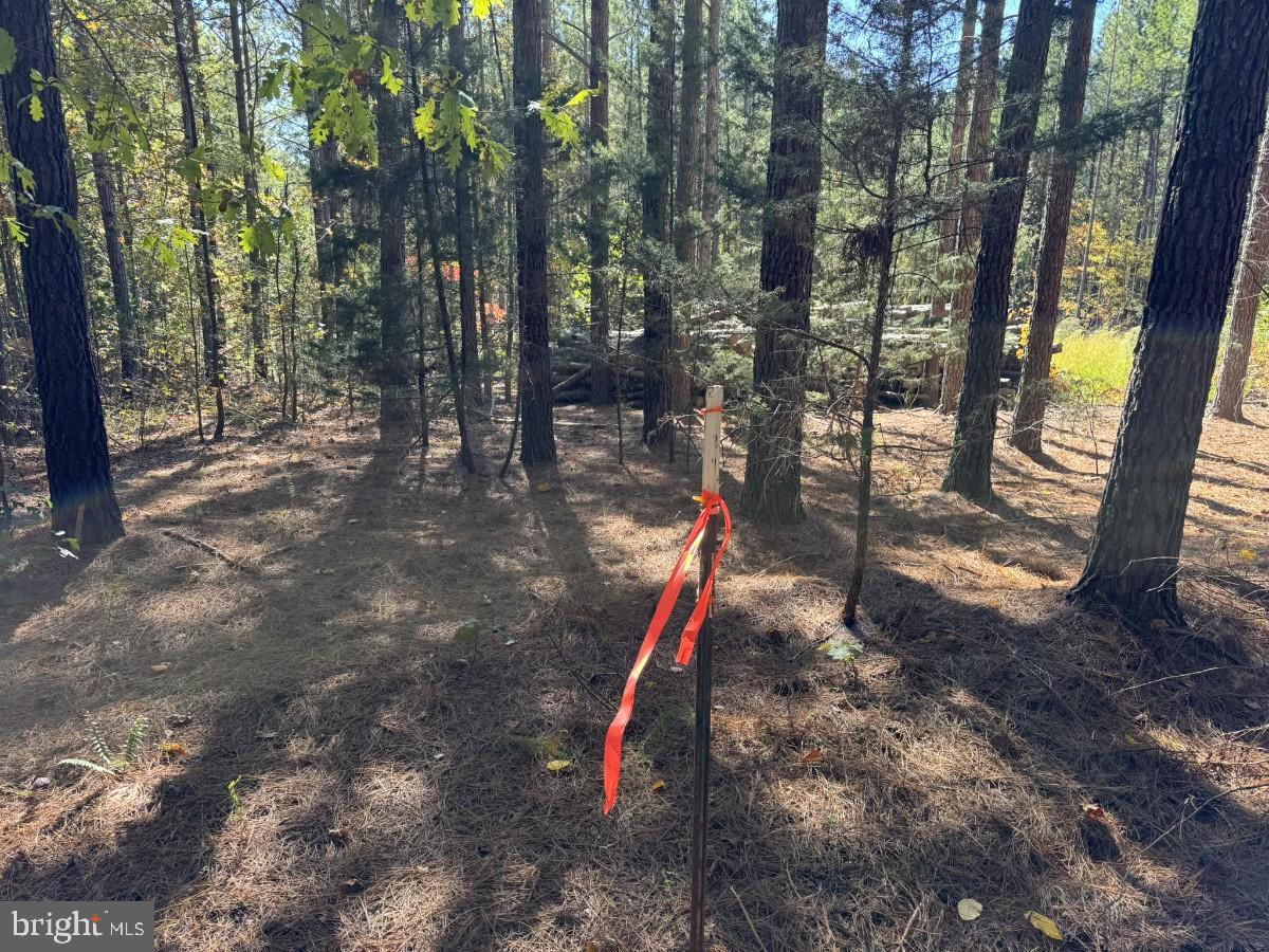 0 MEHERRIN RD, MEHERRIN, Virginia 23954, ,Land,For sale,0 MEHERRIN RD,VAPE2000112 MLS # VAPE2000112 0 MEHERRIN RD, MEHERRIN, Virginia 23954, ,Land,For sale,0 MEHERRIN RD,VAPE2000112 MLS # VAPE2000112