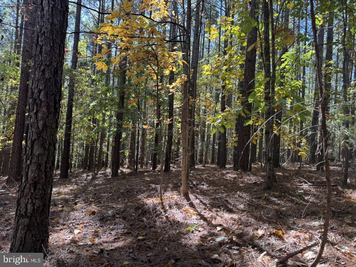 0 MEHERRIN RD, MEHERRIN, Virginia 23954, ,Land,For sale,0 MEHERRIN RD,VAPE2000112 MLS # VAPE2000112 0 MEHERRIN RD, MEHERRIN, Virginia 23954, ,Land,For sale,0 MEHERRIN RD,VAPE2000112 MLS # VAPE2000112