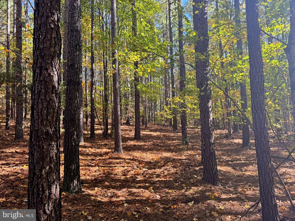 0 MEHERRIN RD, MEHERRIN, Virginia 23954, ,Land,For sale,0 MEHERRIN RD,VAPE2000112 MLS # VAPE2000112 0 MEHERRIN RD, MEHERRIN, Virginia 23954, ,Land,For sale,0 MEHERRIN RD,VAPE2000112 MLS # VAPE2000112