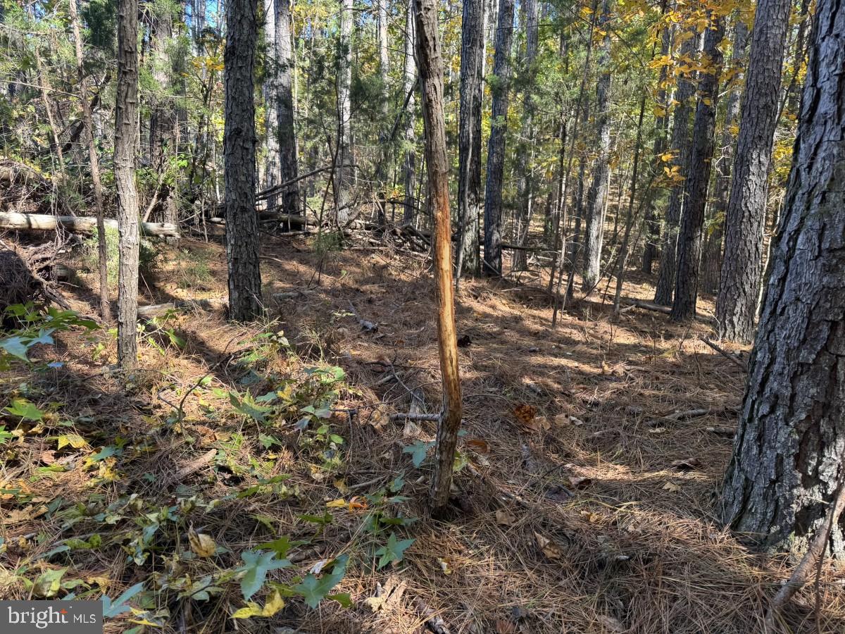 0 MEHERRIN RD, MEHERRIN, Virginia 23954, ,Land,For sale,0 MEHERRIN RD,VAPE2000112 MLS # VAPE2000112 0 MEHERRIN RD, MEHERRIN, Virginia 23954, ,Land,For sale,0 MEHERRIN RD,VAPE2000112 MLS # VAPE2000112