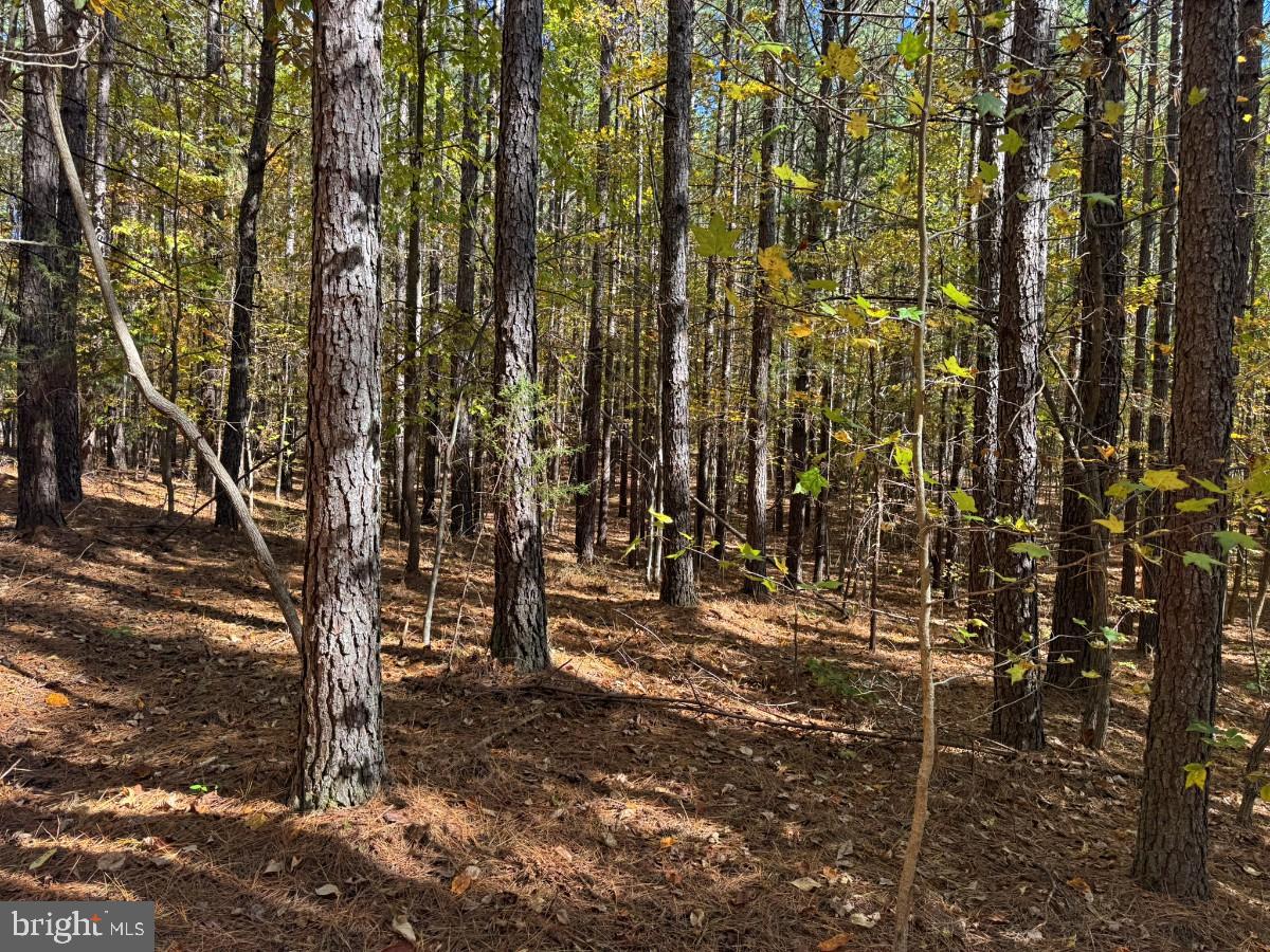 0 MEHERRIN RD, MEHERRIN, Virginia 23954, ,Land,For sale,0 MEHERRIN RD,VAPE2000112 MLS # VAPE2000112 0 MEHERRIN RD, MEHERRIN, Virginia 23954, ,Land,For sale,0 MEHERRIN RD,VAPE2000112 MLS # VAPE2000112