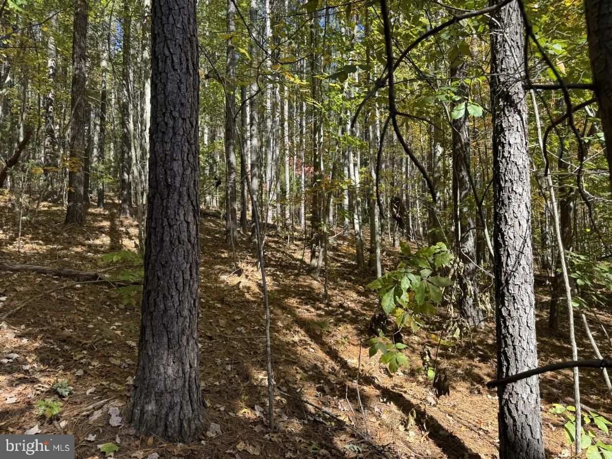 0 MEHERRIN RD, MEHERRIN, Virginia 23954, ,Land,For sale,0 MEHERRIN RD,VAPE2000112 MLS # VAPE2000112 0 MEHERRIN RD, MEHERRIN, Virginia 23954, ,Land,For sale,0 MEHERRIN RD,VAPE2000112 MLS # VAPE2000112