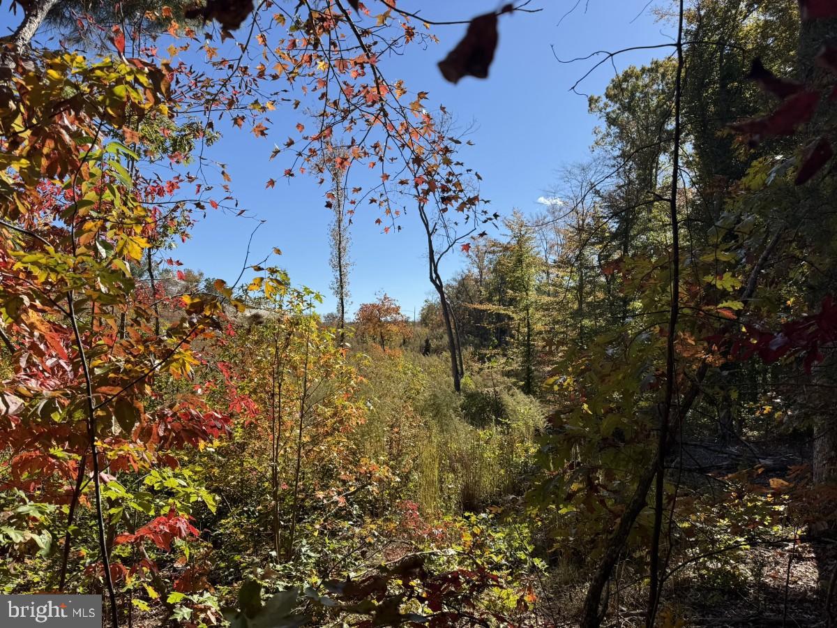 0 MEHERRIN RD, MEHERRIN, Virginia 23954, ,Land,For sale,0 MEHERRIN RD,VAPE2000112 MLS # VAPE2000112 0 MEHERRIN RD, MEHERRIN, Virginia 23954, ,Land,For sale,0 MEHERRIN RD,VAPE2000112 MLS # VAPE2000112