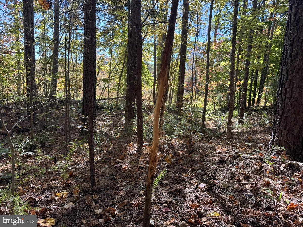 0 MEHERRIN RD, MEHERRIN, Virginia 23954, ,Land,For sale,0 MEHERRIN RD,VAPE2000112 MLS # VAPE2000112 0 MEHERRIN RD, MEHERRIN, Virginia 23954, ,Land,For sale,0 MEHERRIN RD,VAPE2000112 MLS # VAPE2000112