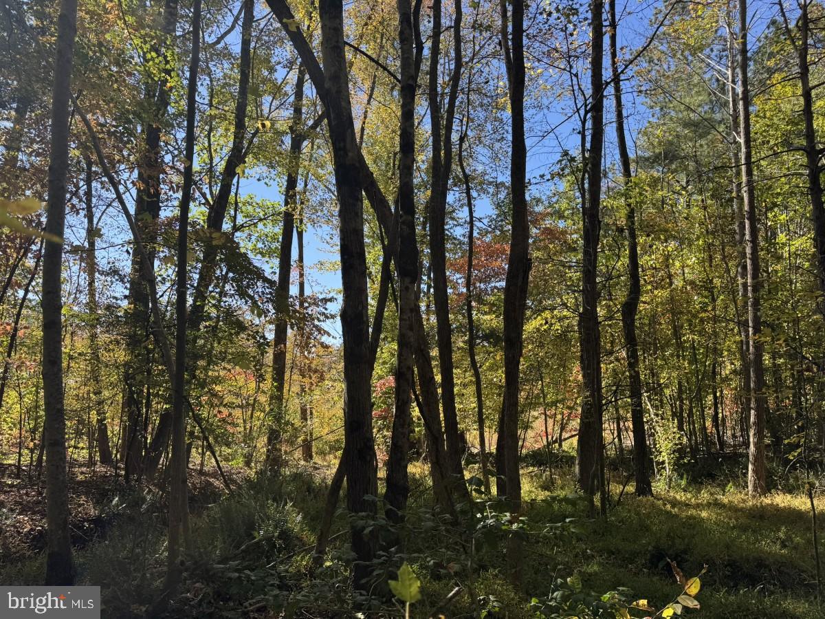 0 MEHERRIN RD, MEHERRIN, Virginia 23954, ,Land,For sale,0 MEHERRIN RD,VAPE2000112 MLS # VAPE2000112 0 MEHERRIN RD, MEHERRIN, Virginia 23954, ,Land,For sale,0 MEHERRIN RD,VAPE2000112 MLS # VAPE2000112