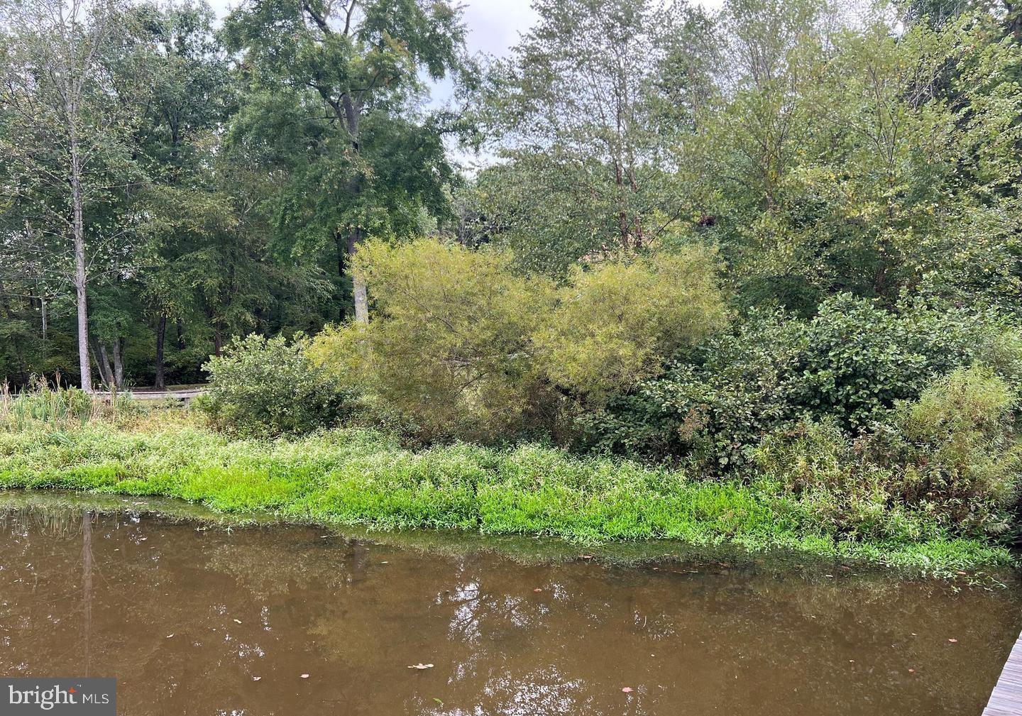 26700 DANIELS POINT DR, UNIONVILLE, Virginia 22567, 4 Bedrooms Bedrooms, ,3 BathroomsBathrooms,Residential,For sale,26700 DANIELS POINT DR,VAOR2012698 MLS # VAOR2012698 26700 DANIELS POINT DR, UNIONVILLE, Virginia 22567, 4 Bedrooms Bedrooms, ,3 BathroomsBathrooms,Residential,For sale,26700 DANIELS POINT DR,VAOR2012698 MLS # VAOR2012698