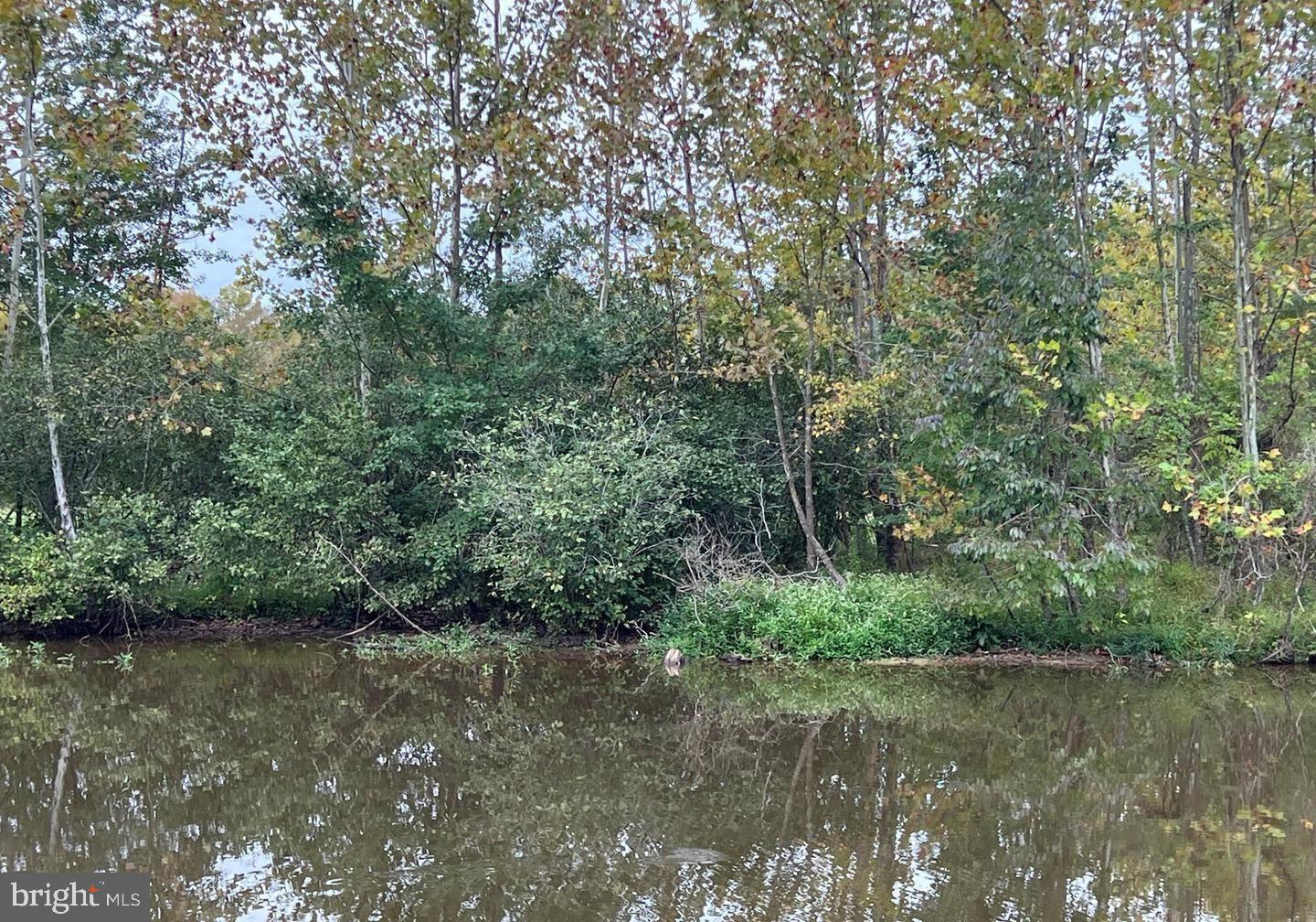 26700 DANIELS POINT DR, UNIONVILLE, Virginia 22567, 4 Bedrooms Bedrooms, ,3 BathroomsBathrooms,Residential,For sale,26700 DANIELS POINT DR,VAOR2012698 MLS # VAOR2012698 26700 DANIELS POINT DR, UNIONVILLE, Virginia 22567, 4 Bedrooms Bedrooms, ,3 BathroomsBathrooms,Residential,For sale,26700 DANIELS POINT DR,VAOR2012698 MLS # VAOR2012698