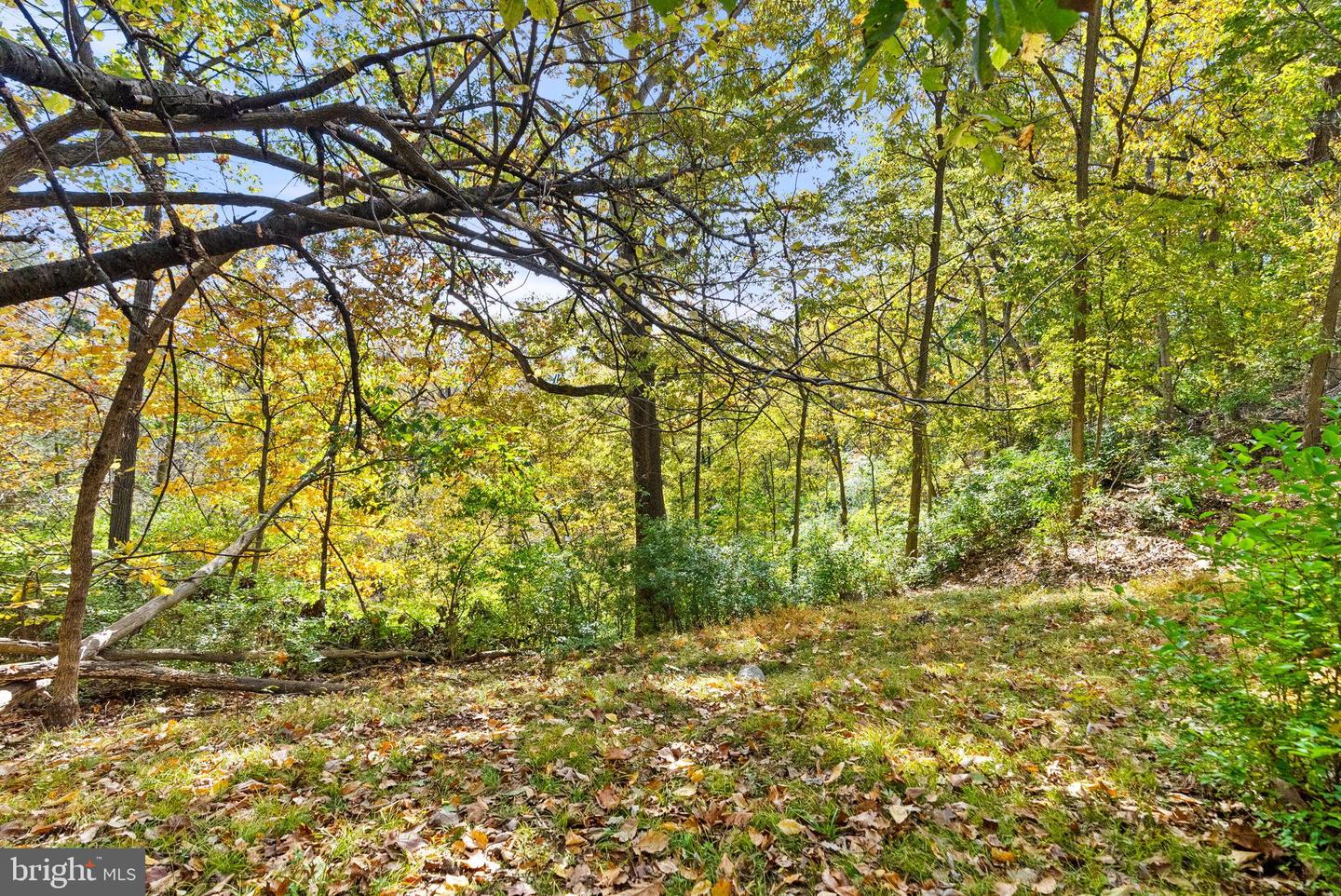 5 CRESTVIEW DR, FRONT ROYAL, Virginia 22630, 3 Bedrooms Bedrooms, 5 Rooms Rooms,2 BathroomsBathrooms,Residential,For sale,5 CRESTVIEW DR,VAWR2012674 MLS # VAWR2012674