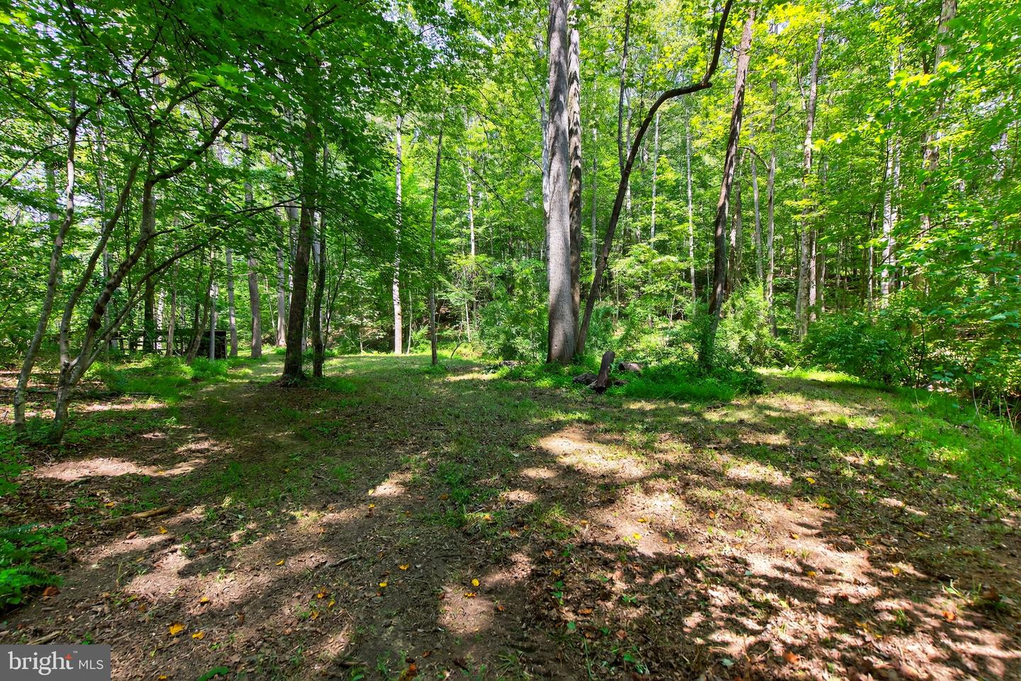 19257 SPRINGFIELD CIR, JEFFERSONTON, Virginia 22724, 3 Bedrooms Bedrooms, ,2 BathroomsBathrooms,Residential,For sale,19257 SPRINGFIELD CIR,VACU2011958 MLS # VACU2011958