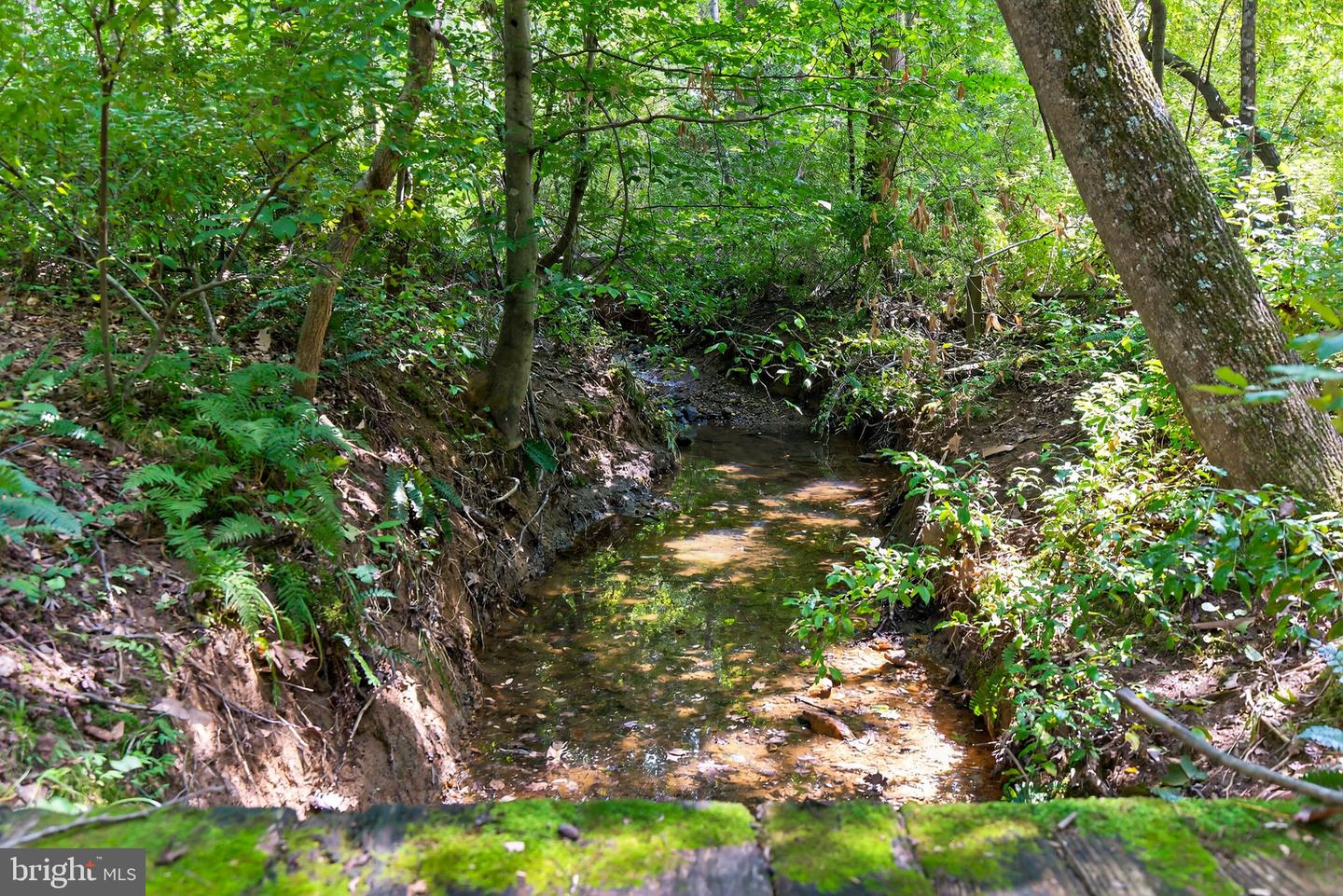 19257 SPRINGFIELD CIR, JEFFERSONTON, Virginia 22724, 3 Bedrooms Bedrooms, ,2 BathroomsBathrooms,Residential,For sale,19257 SPRINGFIELD CIR,VACU2011958 MLS # VACU2011958