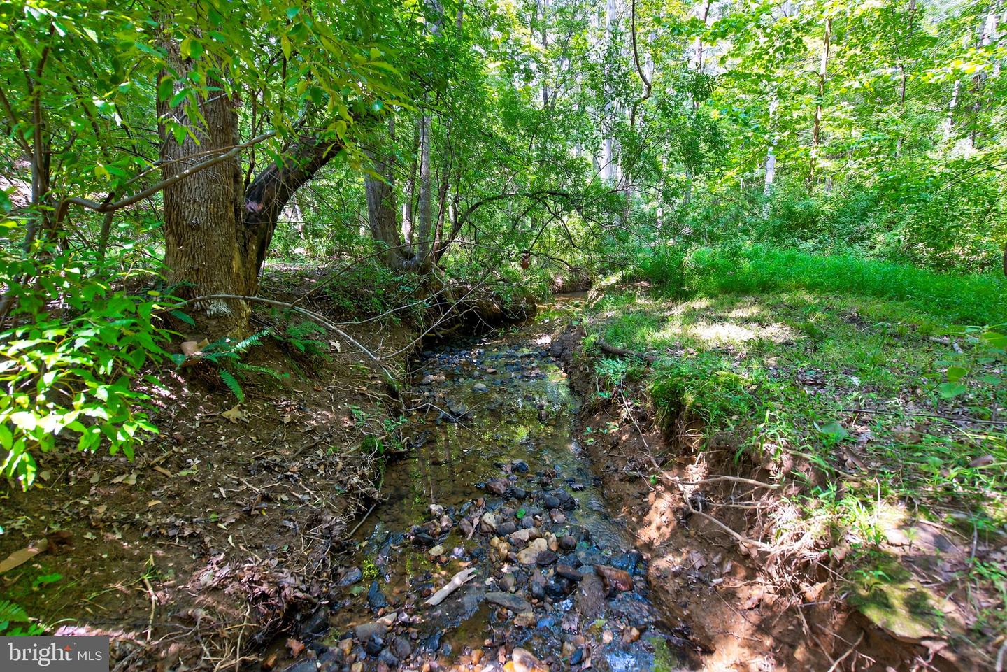 19257 SPRINGFIELD CIR, JEFFERSONTON, Virginia 22724, 3 Bedrooms Bedrooms, ,2 BathroomsBathrooms,Residential,For sale,19257 SPRINGFIELD CIR,VACU2011958 MLS # VACU2011958