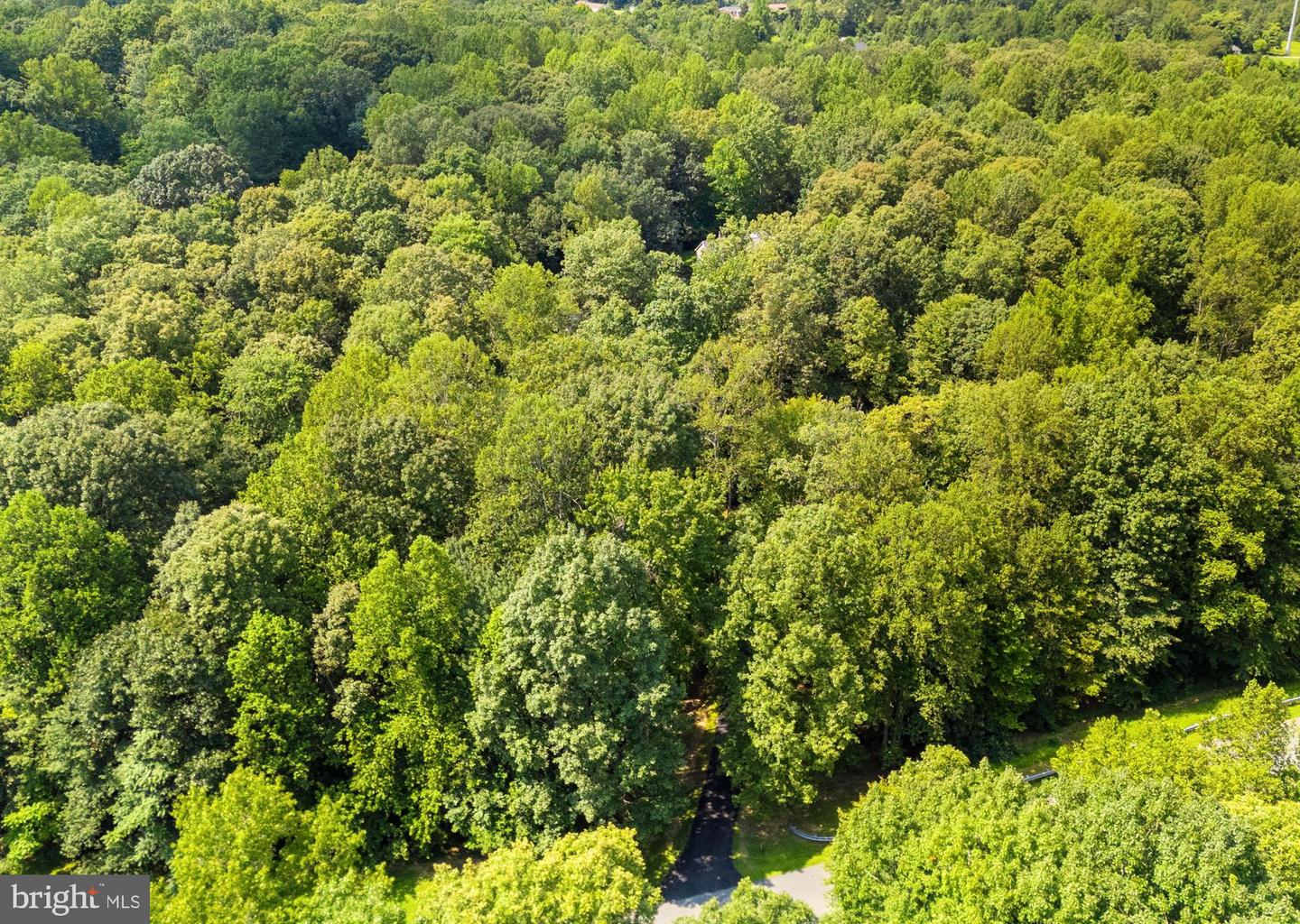 19257 SPRINGFIELD CIR, JEFFERSONTON, Virginia 22724, 3 Bedrooms Bedrooms, ,2 BathroomsBathrooms,Residential,For sale,19257 SPRINGFIELD CIR,VACU2011958 MLS # VACU2011958