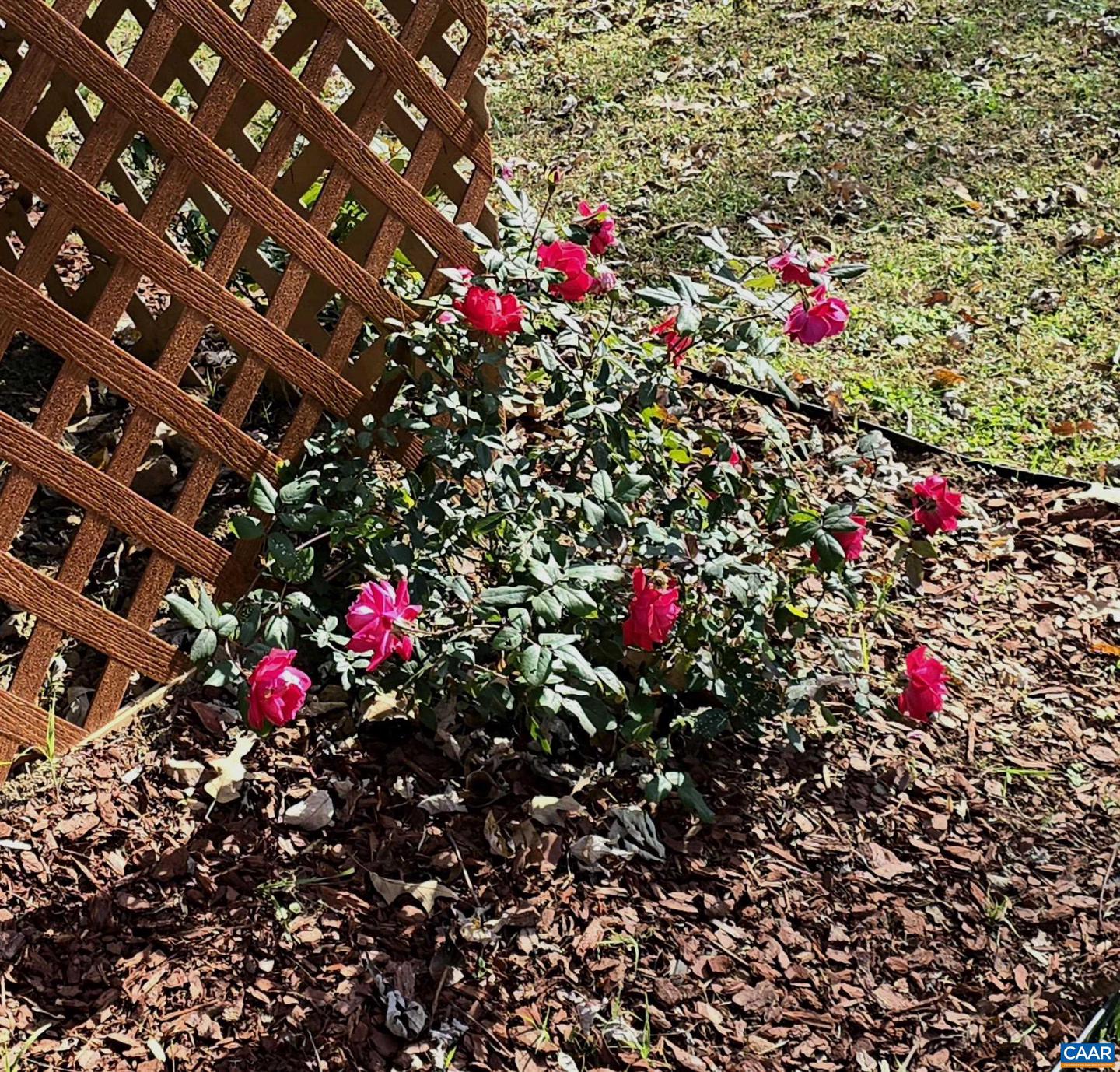 388 YANCEY MILL LN, CROZET, Virginia 22932, 4 Bedrooms Bedrooms, ,2 BathroomsBathrooms,Residential,For sale,388 YANCEY MILL LN,670577 MLS # 670577