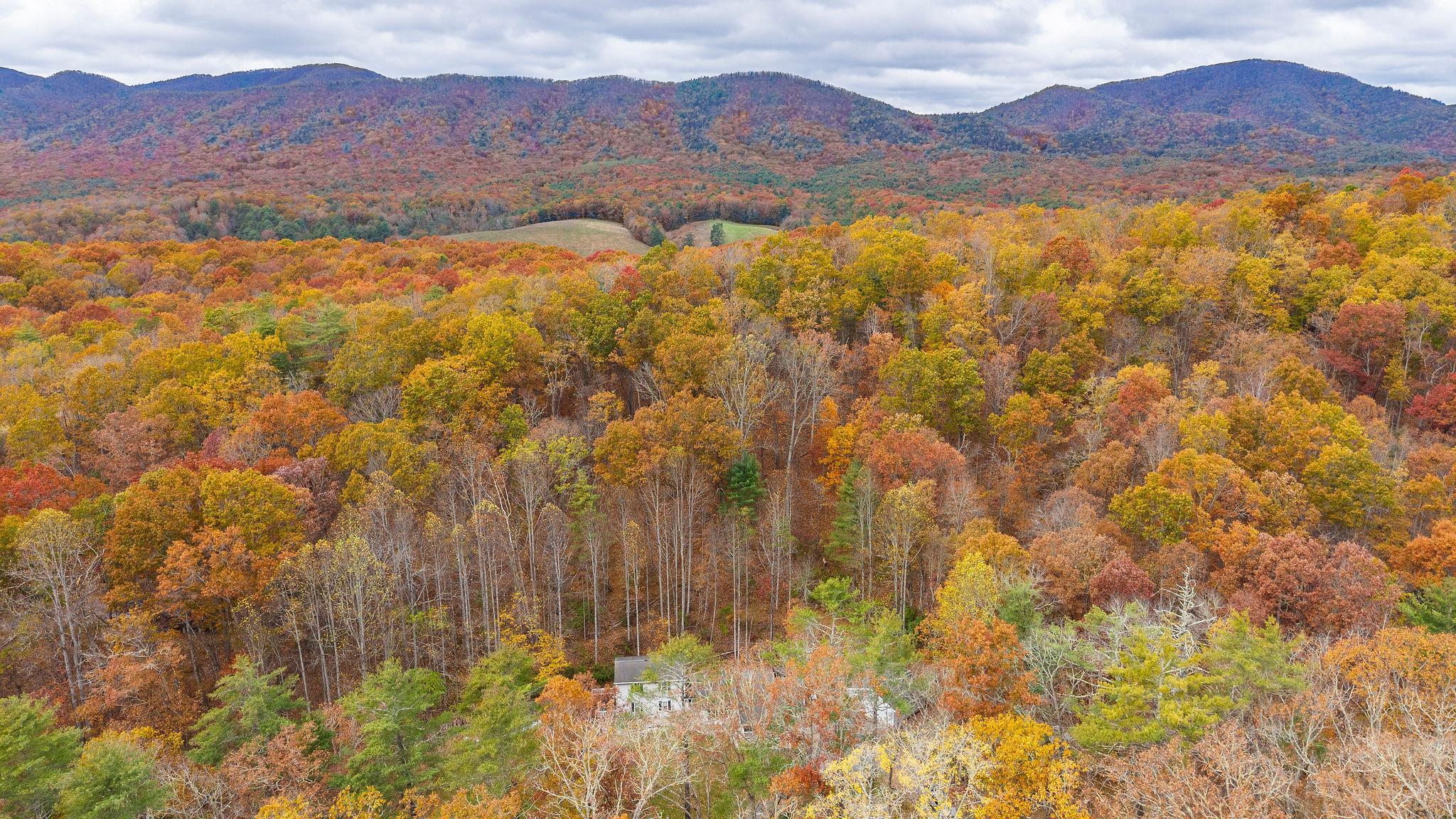 887 BRIGHT HOLLOW RD, DEERFIELD, Virginia 24432, 5 Bedrooms Bedrooms, ,2 BathroomsBathrooms,Residential,Privacy/Location #WINNING,887 BRIGHT HOLLOW RD,670584 MLS # 670584 887 BRIGHT HOLLOW RD, DEERFIELD, Virginia 24432, 5 Bedrooms Bedrooms, ,2 BathroomsBathrooms,Residential,Privacy/Location #WINNING,887 BRIGHT HOLLOW RD,670584 MLS # 670584