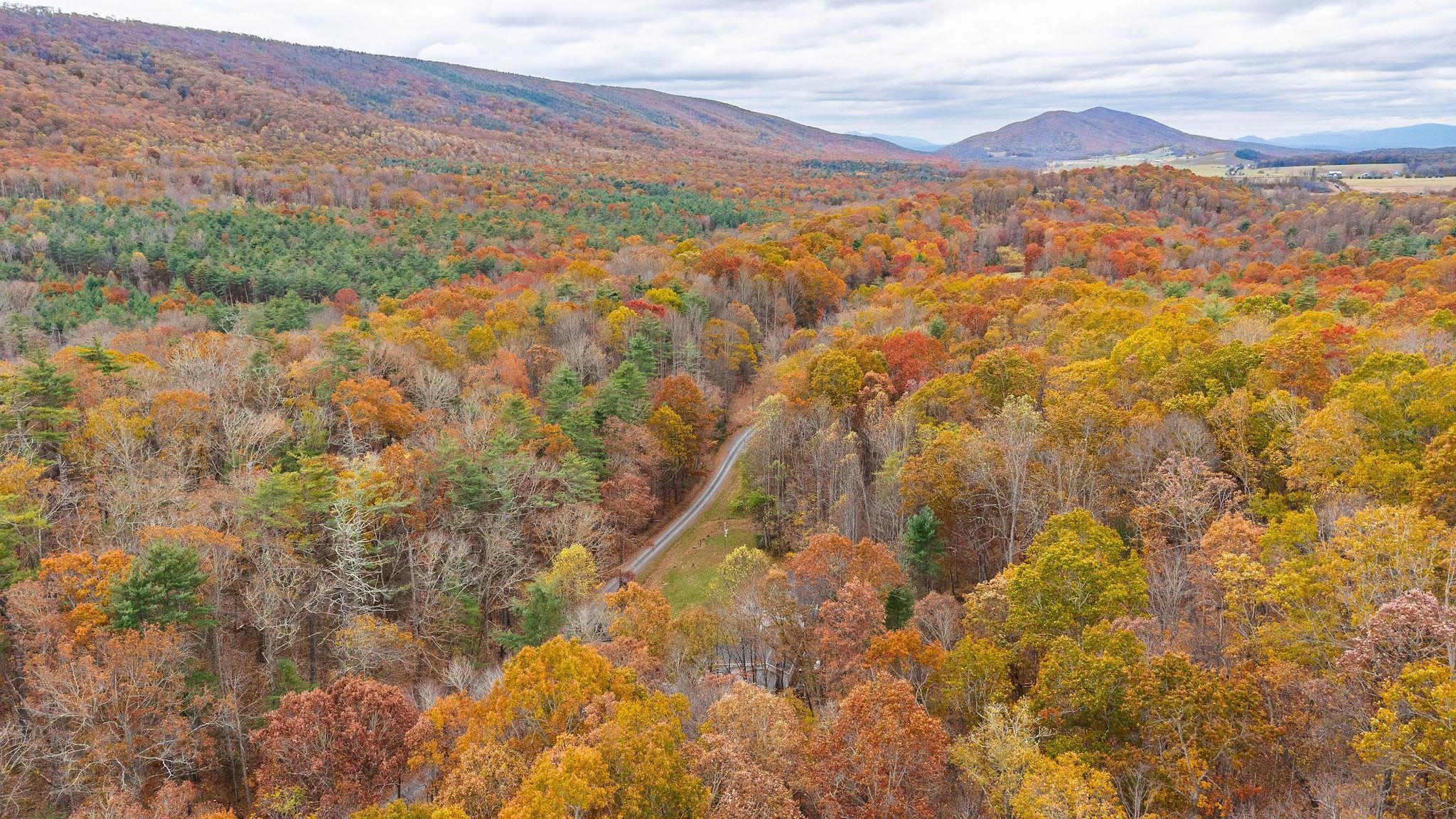 887 BRIGHT HOLLOW RD, DEERFIELD, Virginia 24432, 5 Bedrooms Bedrooms, ,2 BathroomsBathrooms,Residential,Privacy/Location #WINNING,887 BRIGHT HOLLOW RD,670584 MLS # 670584 887 BRIGHT HOLLOW RD, DEERFIELD, Virginia 24432, 5 Bedrooms Bedrooms, ,2 BathroomsBathrooms,Residential,Privacy/Location #WINNING,887 BRIGHT HOLLOW RD,670584 MLS # 670584