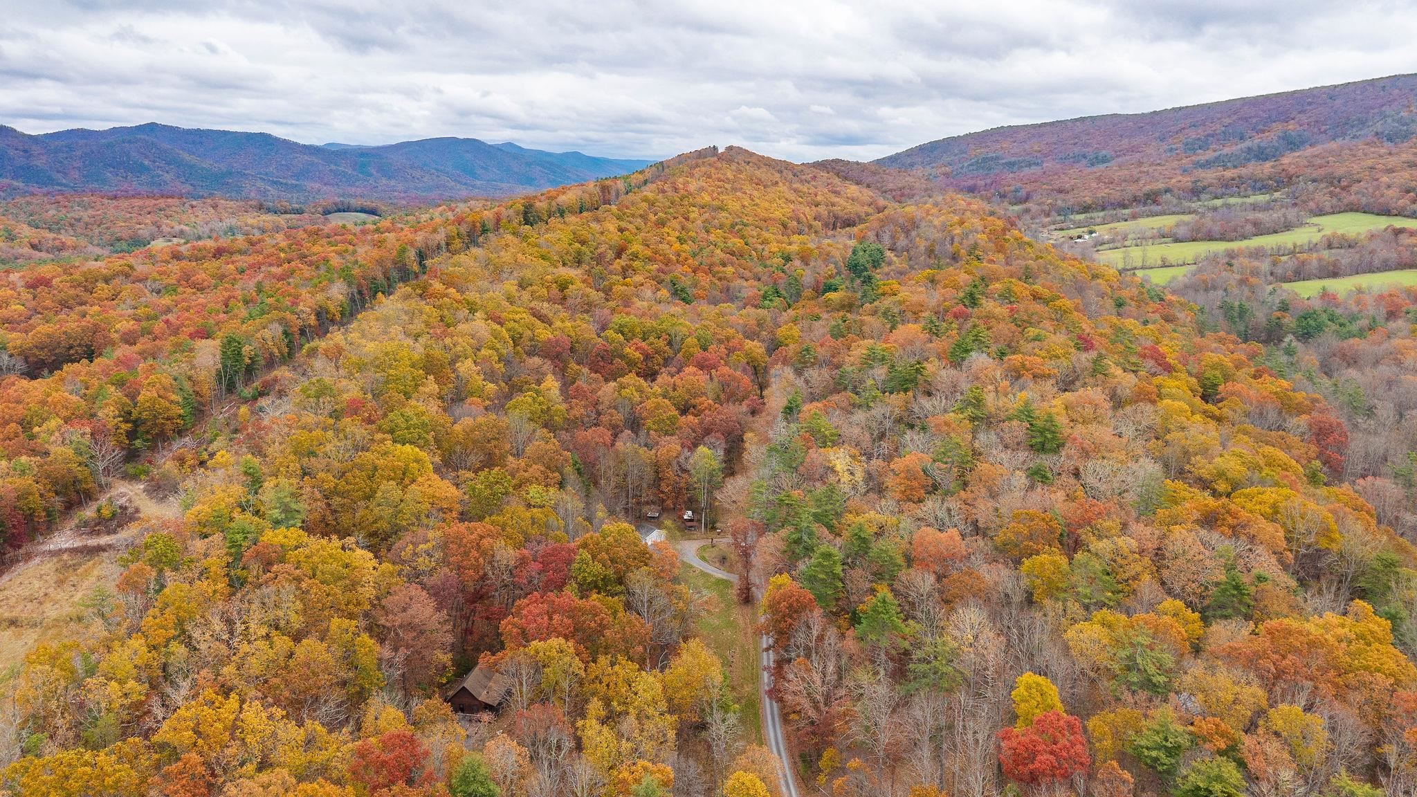 887 BRIGHT HOLLOW RD, DEERFIELD, Virginia 24432, 5 Bedrooms Bedrooms, ,2 BathroomsBathrooms,Residential,Privacy/Location #WINNING,887 BRIGHT HOLLOW RD,670584 MLS # 670584 887 BRIGHT HOLLOW RD, DEERFIELD, Virginia 24432, 5 Bedrooms Bedrooms, ,2 BathroomsBathrooms,Residential,Privacy/Location #WINNING,887 BRIGHT HOLLOW RD,670584 MLS # 670584