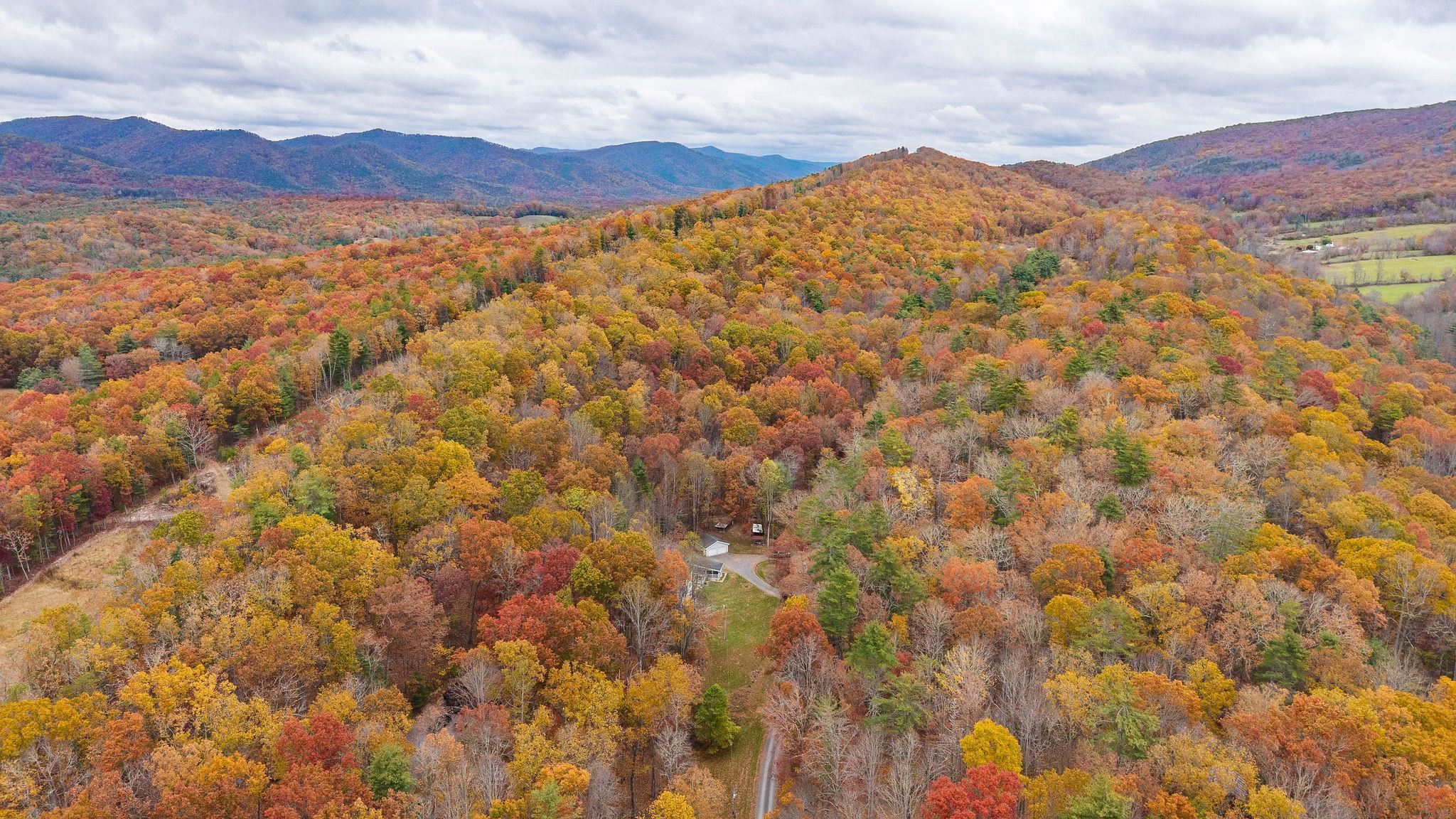 887 BRIGHT HOLLOW RD, DEERFIELD, Virginia 24432, 5 Bedrooms Bedrooms, ,2 BathroomsBathrooms,Residential,Privacy/Location #WINNING,887 BRIGHT HOLLOW RD,670584 MLS # 670584 887 BRIGHT HOLLOW RD, DEERFIELD, Virginia 24432, 5 Bedrooms Bedrooms, ,2 BathroomsBathrooms,Residential,Privacy/Location #WINNING,887 BRIGHT HOLLOW RD,670584 MLS # 670584