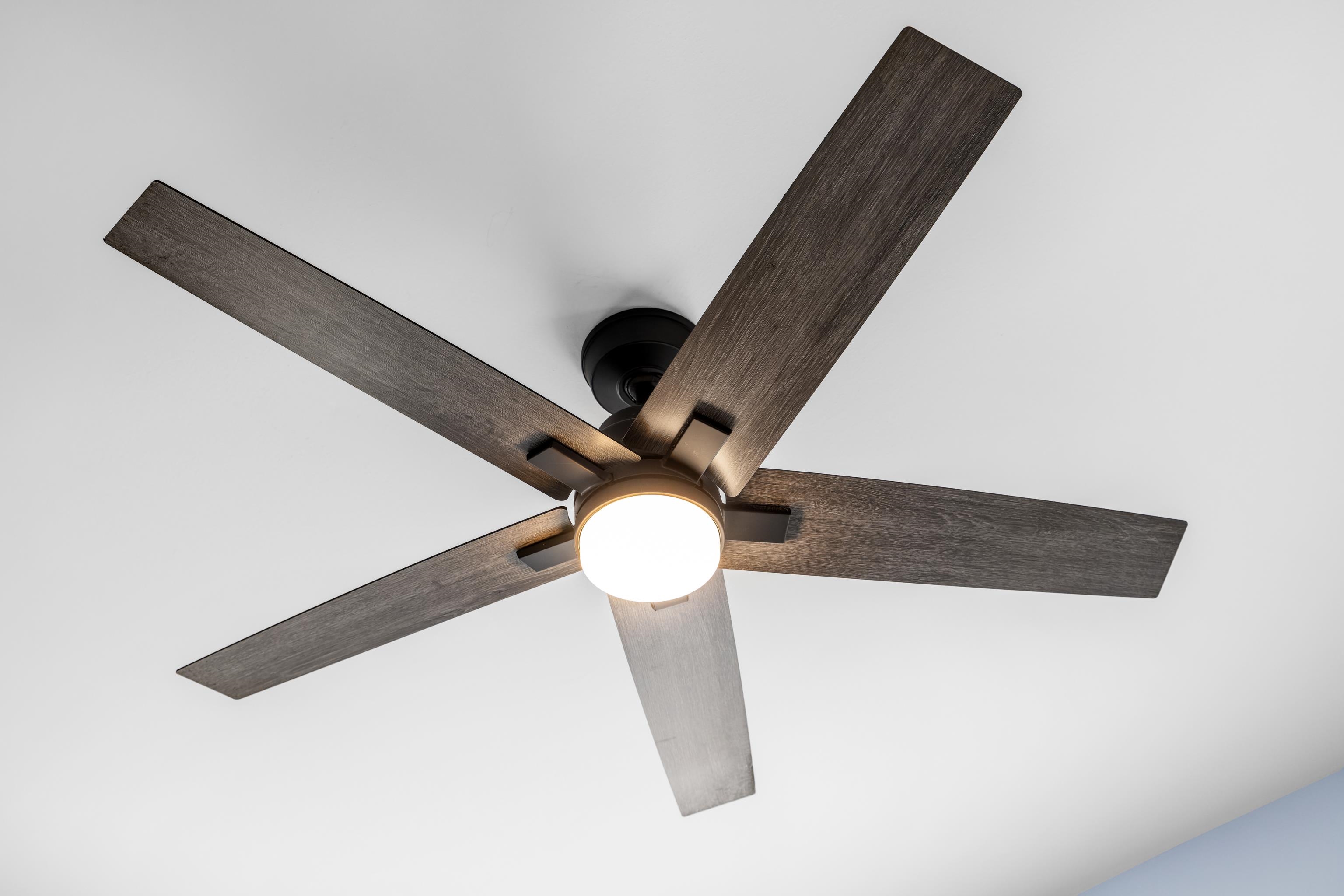 421 N CHARLOTTE AVE, WAYNESBORO, Virginia 22980, 5 Bedrooms Bedrooms, ,4 BathroomsBathrooms,Residential,421 N CHARLOTTE AVE,670593 MLS # 670593