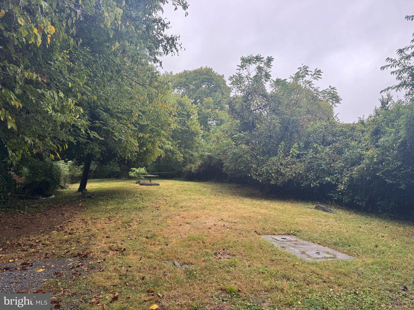 22 JOSEPHINE ST, BERRYVILLE, Virginia 22611, 2 Bedrooms Bedrooms, ,2 BathroomsBathrooms,Residential,For sale,22 JOSEPHINE ST,VACL2006090 MLS # VACL2006090 22 JOSEPHINE ST, BERRYVILLE, Virginia 22611, 2 Bedrooms Bedrooms, ,2 BathroomsBathrooms,Residential,For sale,22 JOSEPHINE ST,VACL2006090 MLS # VACL2006090