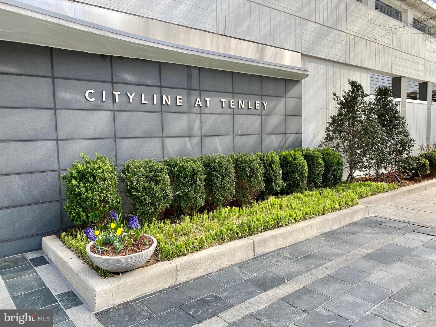 WASHINGTON, District Of Columbia 20016, 1 Bedroom Bedrooms, ,1 BathroomBathrooms,Residential,For sale,DCDC2224206 MLS # DCDC2224206 WASHINGTON, District Of Columbia 20016, 1 Bedroom Bedrooms, ,1 BathroomBathrooms,Residential,For sale,DCDC2224206 MLS # DCDC2224206