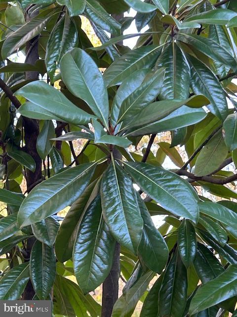 1494 BENNYS BEACH RD, FRONT ROYAL, Virginia 22630, 3 Bedrooms Bedrooms, ,2 BathroomsBathrooms,Residential,For sale,1494 BENNYS BEACH RD,VAWR2012564 MLS # VAWR2012564 1494 BENNYS BEACH RD, FRONT ROYAL, Virginia 22630, 3 Bedrooms Bedrooms, ,2 BathroomsBathrooms,Residential,For sale,1494 BENNYS BEACH RD,VAWR2012564 MLS # VAWR2012564