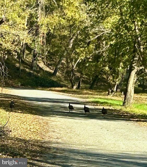 1494 BENNYS BEACH RD, FRONT ROYAL, Virginia 22630, 3 Bedrooms Bedrooms, ,2 BathroomsBathrooms,Residential,For sale,1494 BENNYS BEACH RD,VAWR2012564 MLS # VAWR2012564 1494 BENNYS BEACH RD, FRONT ROYAL, Virginia 22630, 3 Bedrooms Bedrooms, ,2 BathroomsBathrooms,Residential,For sale,1494 BENNYS BEACH RD,VAWR2012564 MLS # VAWR2012564