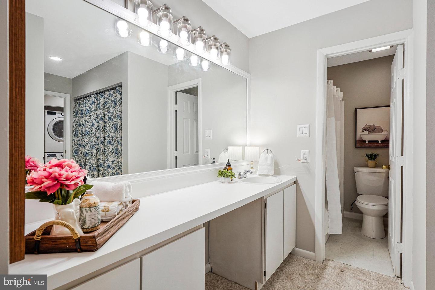 5778-B REXFORD CT #5778B, SPRINGFIELD, Virginia 22152, 2 Bedrooms Bedrooms, ,2 BathroomsBathrooms,Residential,For sale,5778-B REXFORD CT #5778B,VAFX2275790 MLS # VAFX2275790