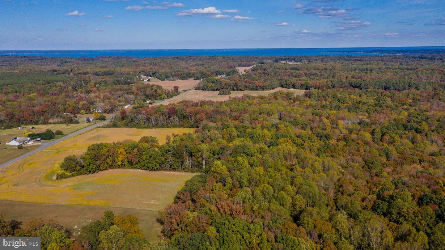 201 GRAINERY RD, MONTROSS, Virginia 22520, 3 Bedrooms Bedrooms, ,1 BathroomBathrooms,Residential,For sale,201 GRAINERY RD,VAWE2009990 MLS # VAWE2009990