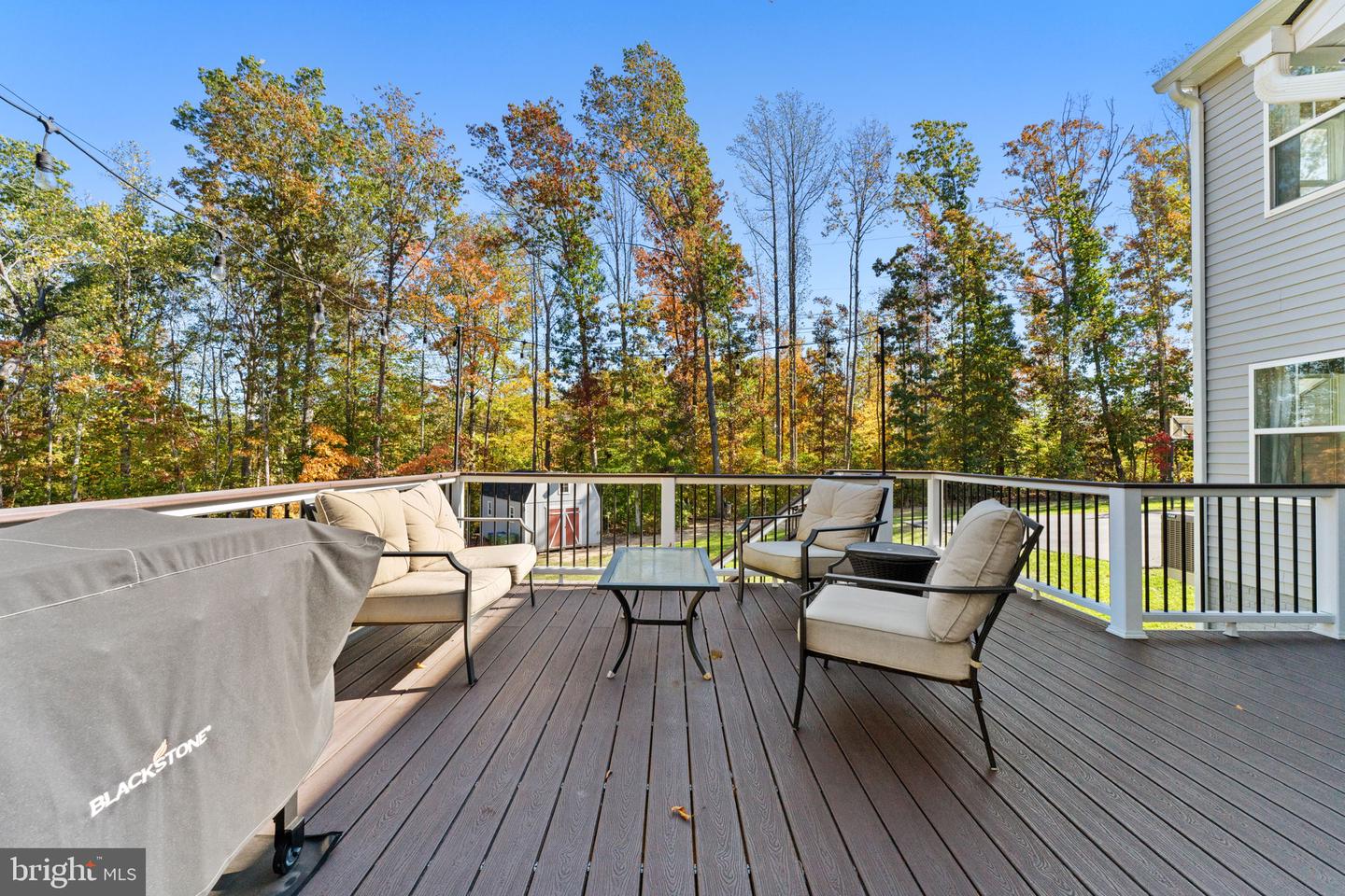 208 SNOWY EGRET WAY, FREDERICKSBURG, Virginia 22406, 4 Bedrooms Bedrooms, ,3 BathroomsBathrooms,Residential,For sale,208 SNOWY EGRET WAY,VAST2043778 MLS # VAST2043778