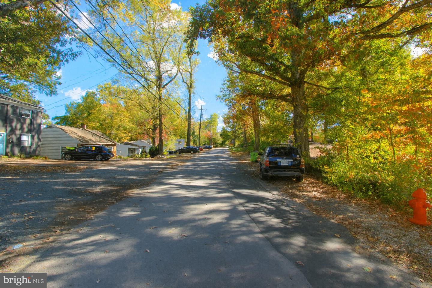 218 STRIBLING AVE, CHARLOTTESVILLE, Virginia 22903, 4 Bedrooms Bedrooms, ,4 BathroomsBathrooms,Residential,For sale,218 STRIBLING AVE,VACO2000202 MLS # VACO2000202